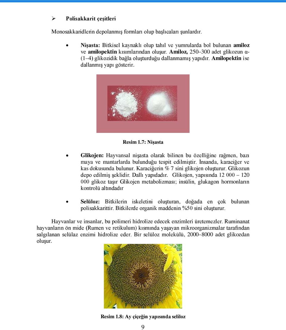 7: NiĢasta Glikojen: Hayvansal niģasta olarak bilinen bu özelliğine rağmen, bazı maya ve mantarlarda bulunduğu tespit edilmiģtir. Ġnsanda, karaciğer ve kas dokusunda bulunur.