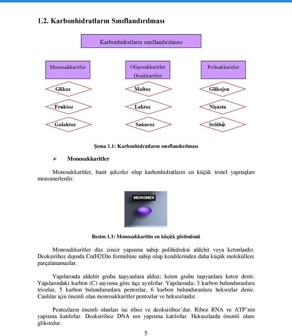 Deoksiriboz dıģında Cn(H2O)n formülüne sahip olup kendilerinden daha küçük moleküllere parçalanamazlar. Yapılarında aldehit grubu taģıyanlara aldoz; keton grubu taģıyanlara ketoz denir.