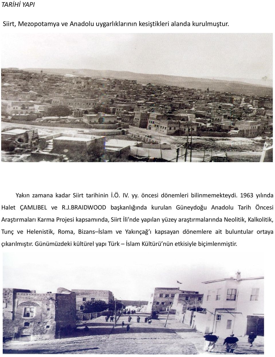 BRAIDWOOD başkanlığında kurulan Güneydoğu Anadolu Tarih Öncesi Araştırmaları Karma Projesi kapsamında, Siirt İli nde yapılan yüzey