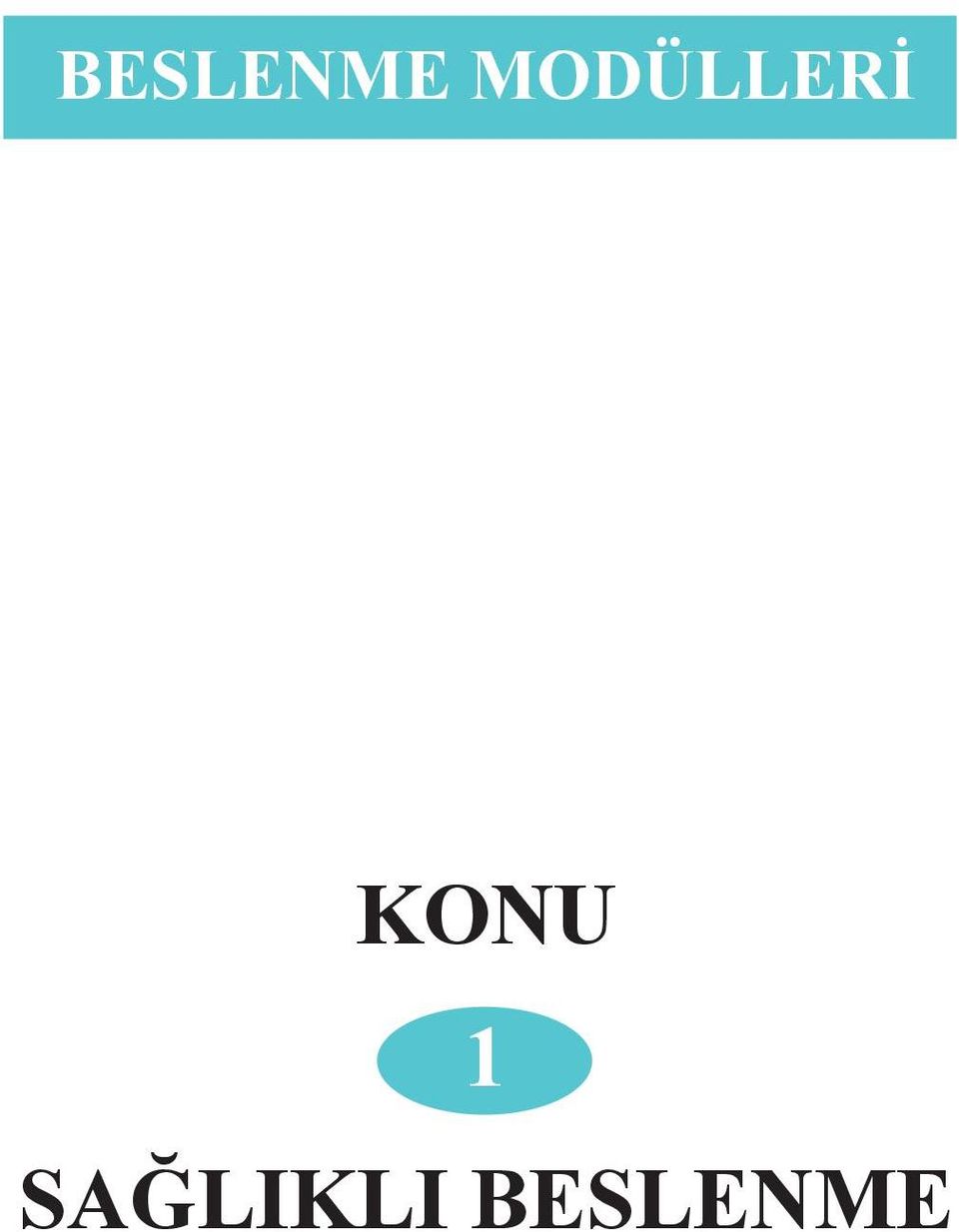 KONU 1