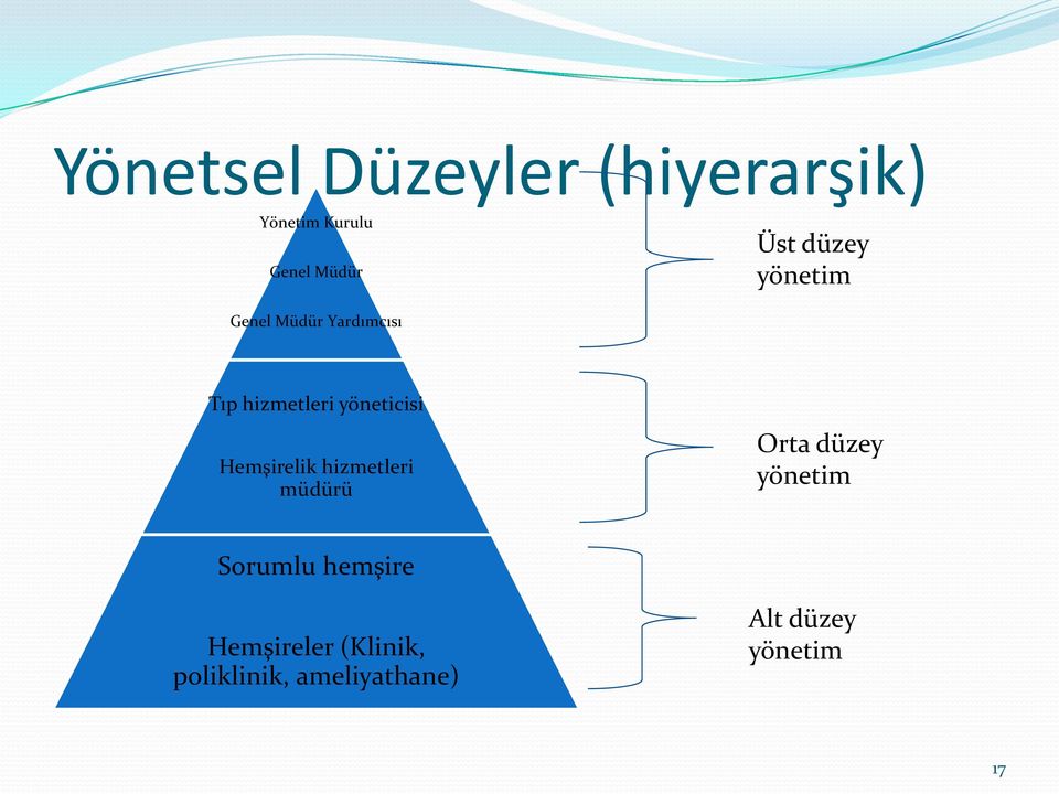 Hemşirelik hizmetleri müdürü Orta düzey yönetim Sorumlu hemşire