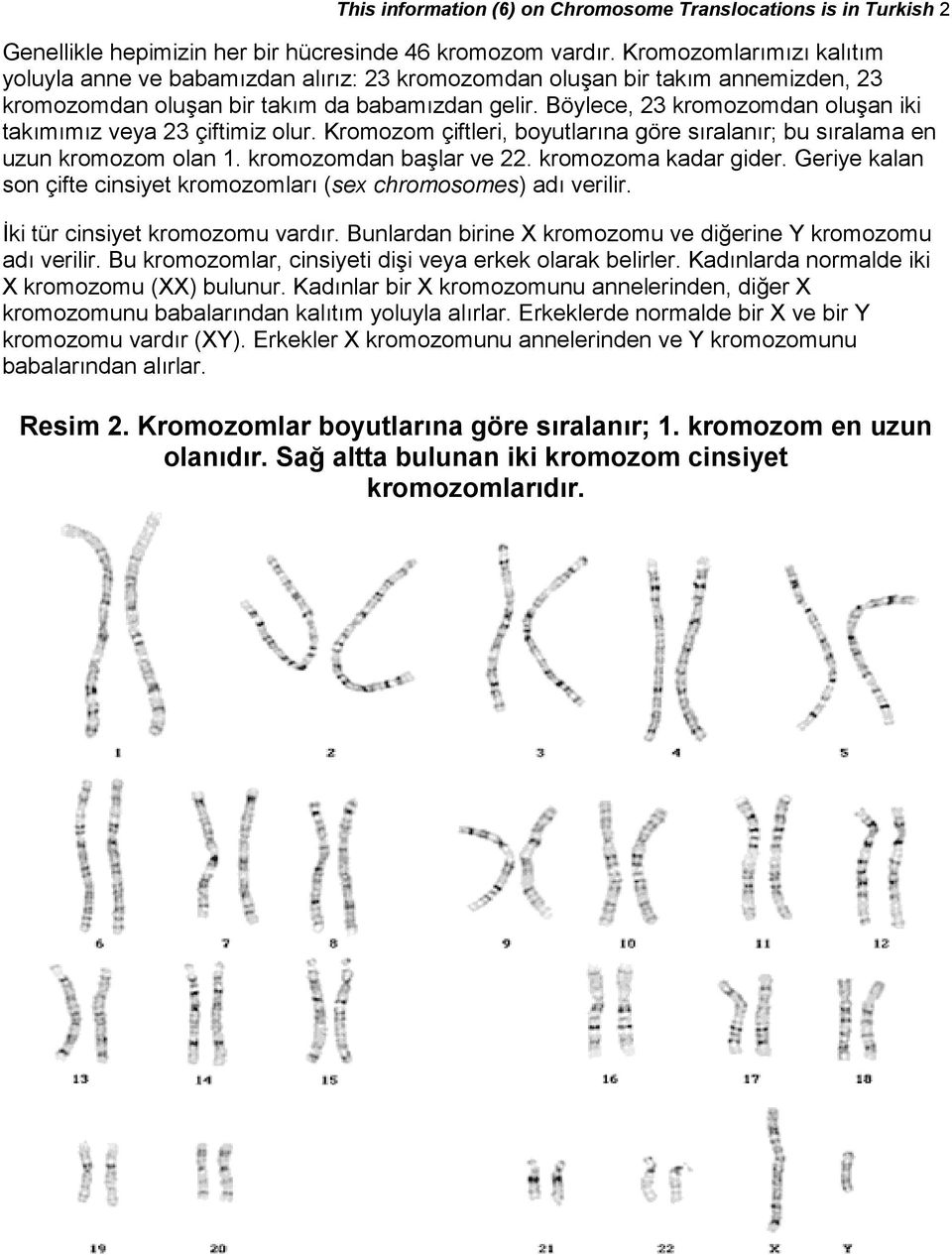 Böylece, 23 kromozomdan oluşan iki takımımız veya 23 çiftimiz olur. Kromozom çiftleri, boyutlarına göre sıralanır; bu sıralama en uzun kromozom olan 1. kromozomdan başlar ve 22. kromozoma kadar gider.