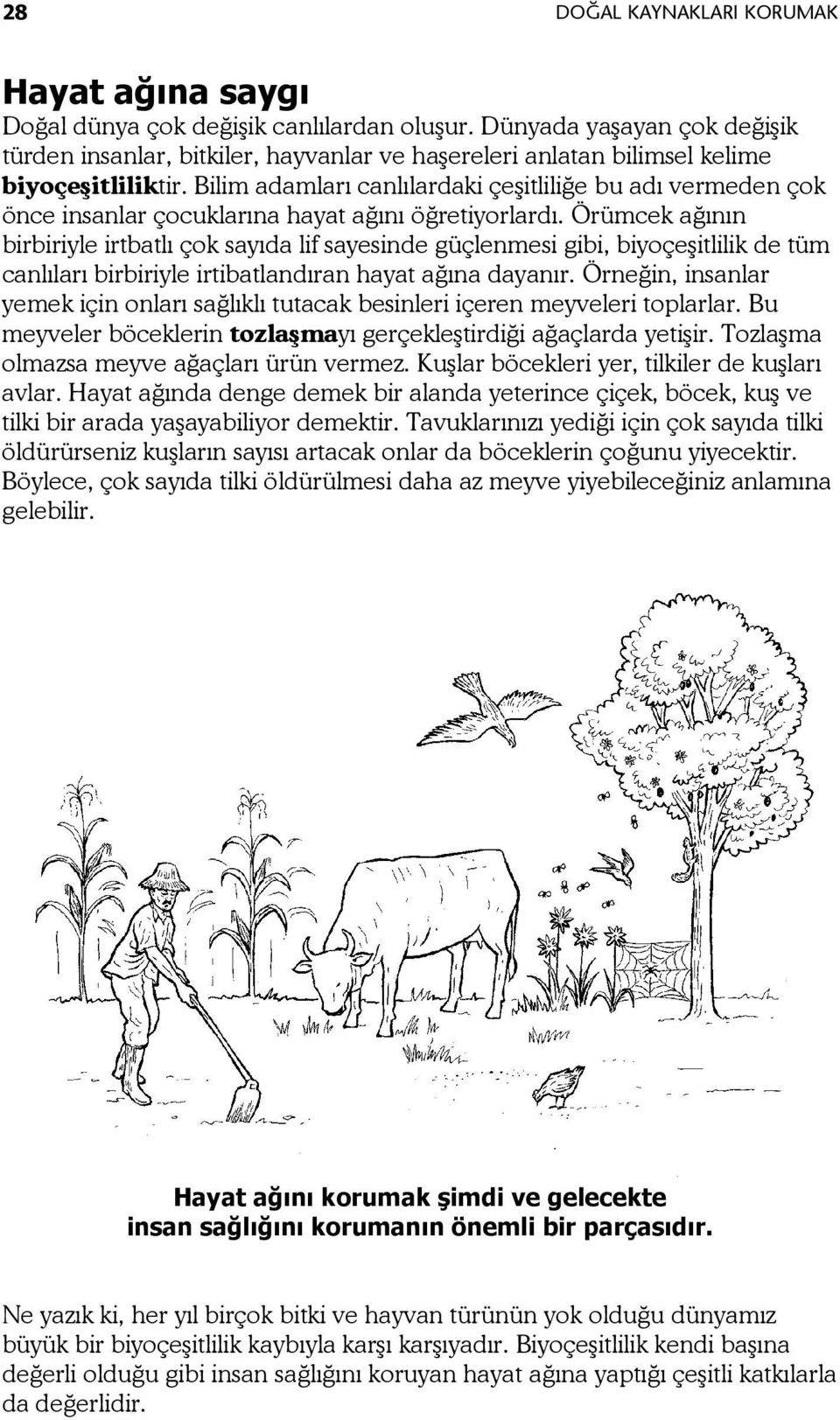 Bilim adamları canlılardaki çeşitliliğe bu adı vermeden çok önce insanlar çocuklarına hayat ağını öğretiyorlardı.