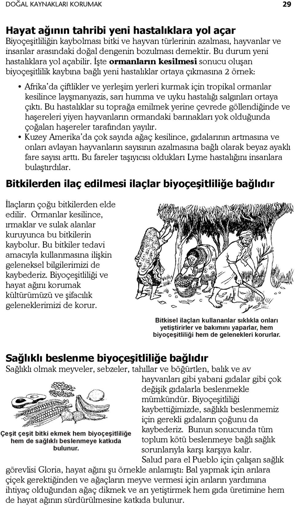 İşte ormanların kesilmesi sonucu oluşan biyoçeşitlilik kaybına bağlı yeni hastalıklar ortaya çıkmasına 2 örnek: Afrika da çiftlikler ve yerleşim yerleri kurmak için tropikal ormanlar kesilince