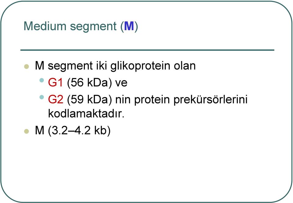 G2 (59 kda) nin protein