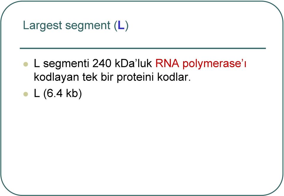 polymerase ı kodlayan tek