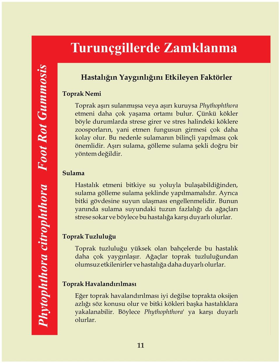 Bu nedenle sulamanýn bilinçli yapýlmasý çok önemlidir. Aþýrý sulama, gölleme sulama þekli doðru bir yöntem deðildir.