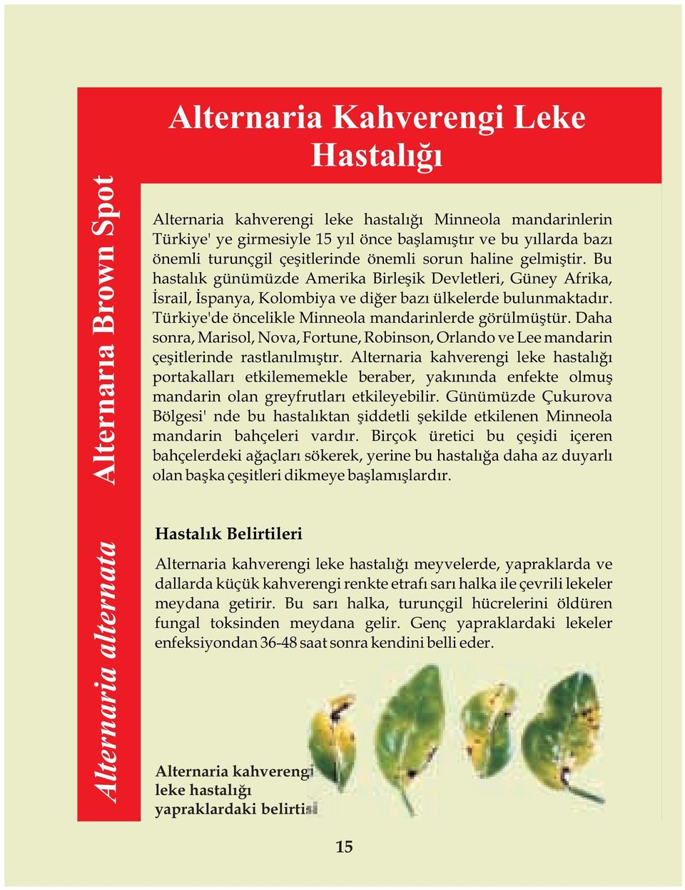 Bu hastalýk günümüzde Amerika Birleþik Devletleri, Güney Afrika, Ýsrail, Ýspanya, Kolombiya ve diðer bazý ülkelerde bulunmaktadýr. Türkiye'de öncelikle Minneola mandarinlerde görülmüþtür.