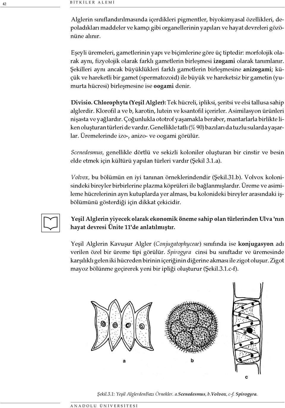 Şekilleri aynı ancak büyüklükleri farklı gametlerin birleşmesine anizogami; küçük ve hareketli bir gamet (spermatozoid) ile büyük ve hareketsiz bir gametin (yumurta hücresi) birleşmesine ise oogami