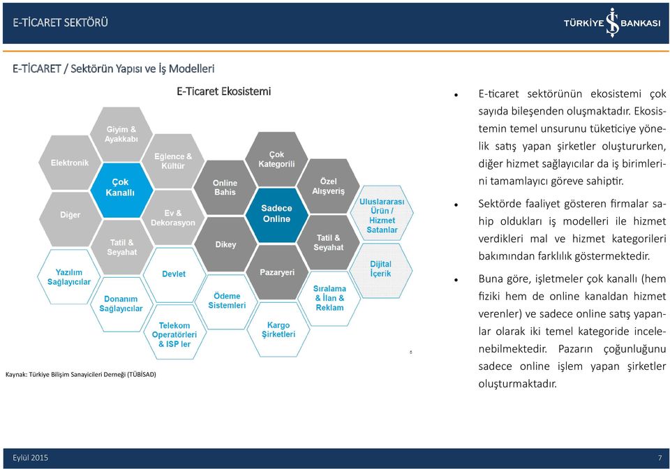 Sektörde faaliyet gösteren firmalar sahip oldukları iş modelleri ile hizmet verdikleri mal ve hizmet kategorileri bakımından farklılık göstermektedir.