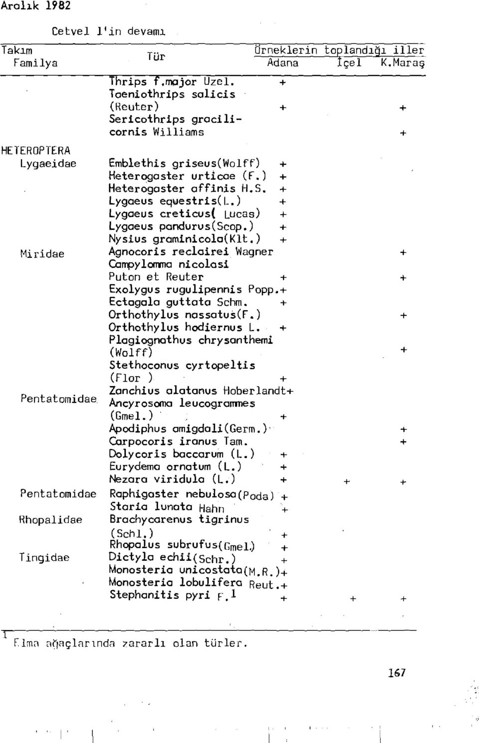 ) + Lygaeus creticus( Lucas) + Lygaeus pandurus(scop.) + Nysius graminicola(klt.) + Agnocoris reclairei Wagner Campylomma nicolasi Puton et Reuter + Exolygus rugulipennis Popp.+ Ectagala guttata Schm.