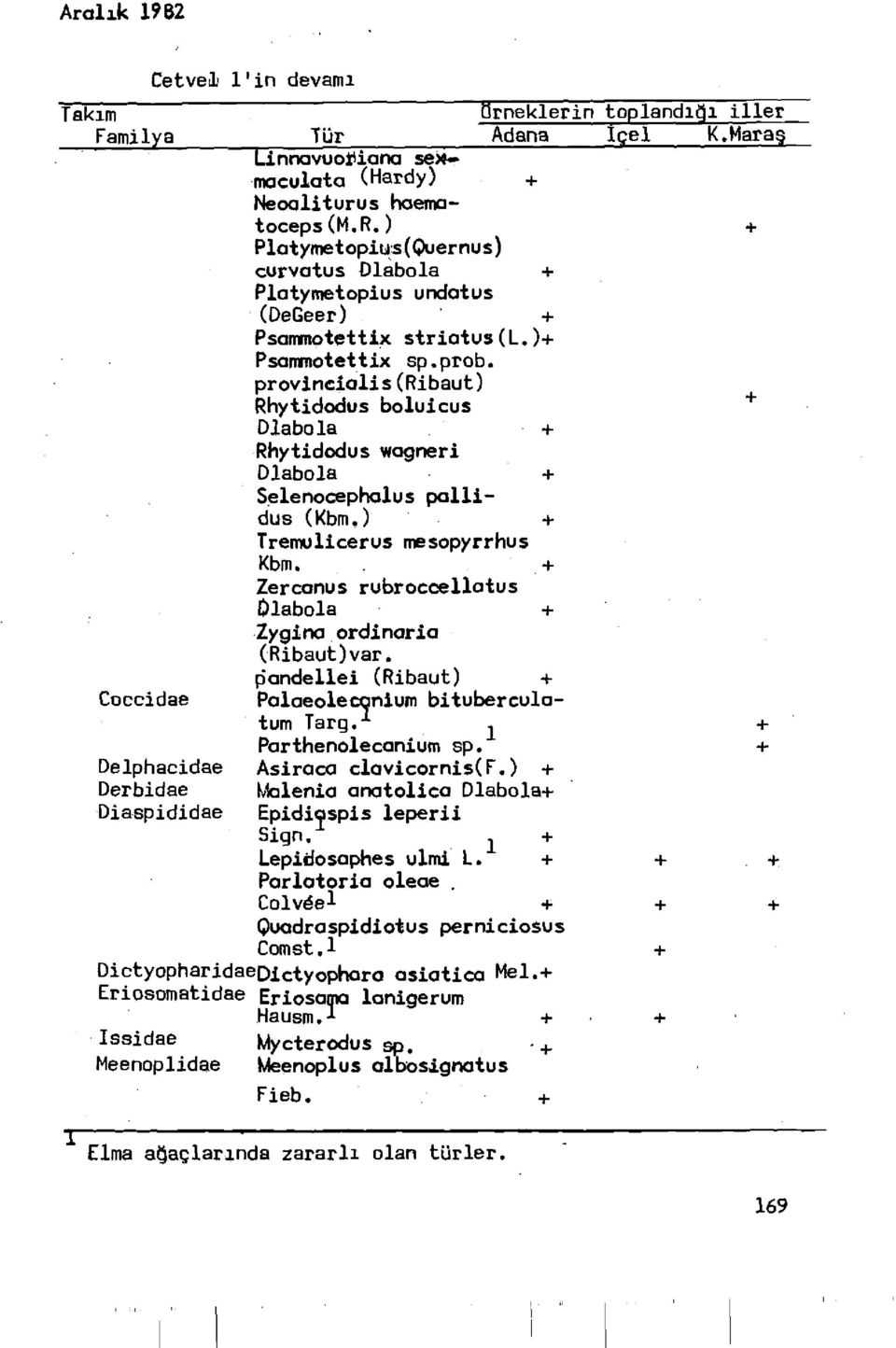 + Zercanus rubroccellatus Dlabola + Zygina ordinaria (Ribaut)var. pandellei (Ribaut) + Coccidae Palaeolecanium bituberculatum Targ. ^ Delphacidae Parthenolecanium sp. Asiraca clavicornis(f.