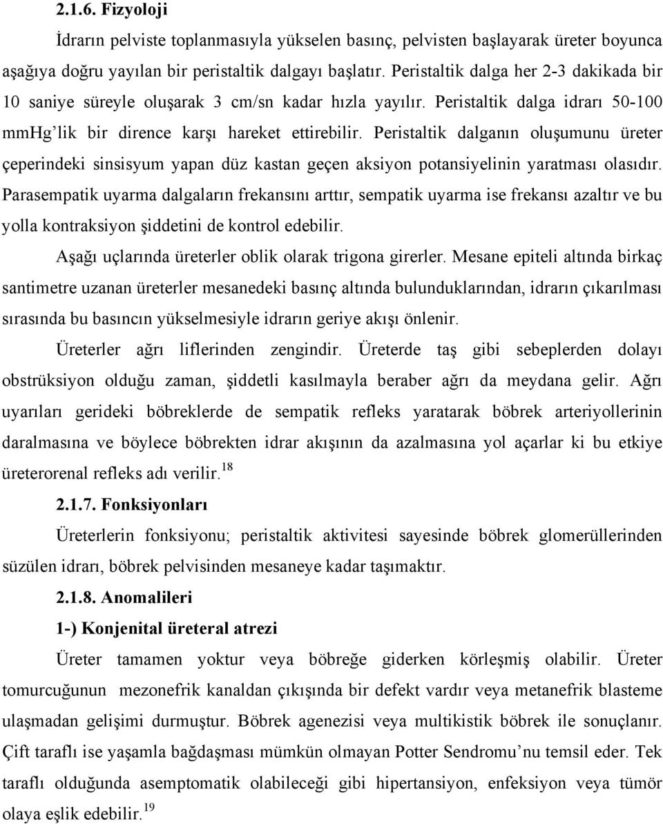 Peristaltik dalganın oluşumunu üreter çeperindeki sinsisyum yapan düz kastan geçen aksiyon potansiyelinin yaratması olasıdır.