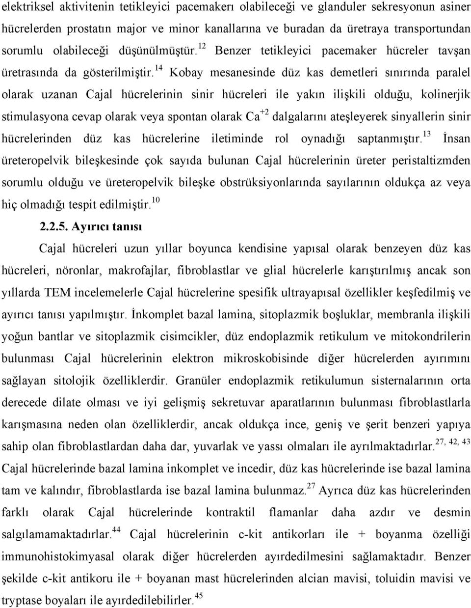 14 Benzer tetikleyici pacemaker hücreler tavşan Kobay mesanesinde düz kas demetleri sınırında paralel olarak uzanan Cajal hücrelerinin sinir hücreleri ile yakın ilişkili olduğu, kolinerjik