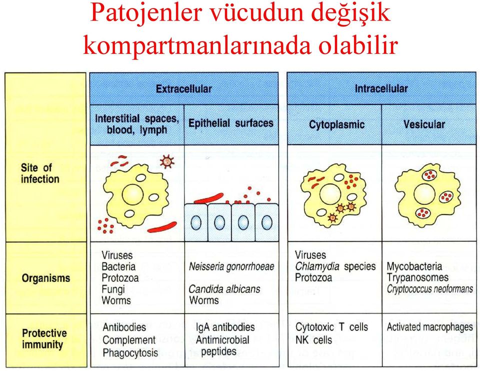 değişik