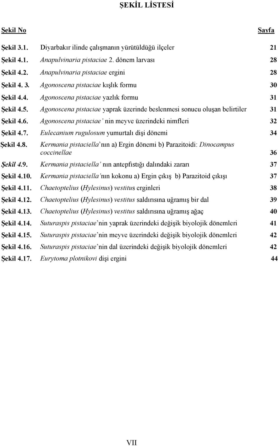 Agonoscena pistaciae nin meyve üzerindeki nimfleri 32 Şekil 4.7. Eulecanium rugulosum yumurtalı dişi dönemi 34 Şekil 4.8.