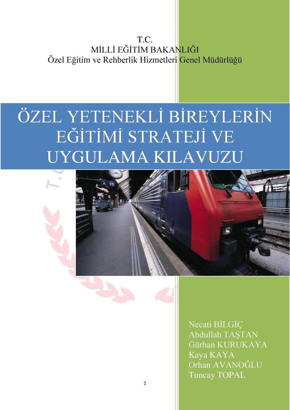 EĞİTİMİ STRATEJİ VE UYGULAMA KILAVUZU 1 Necati BİLGİÇ