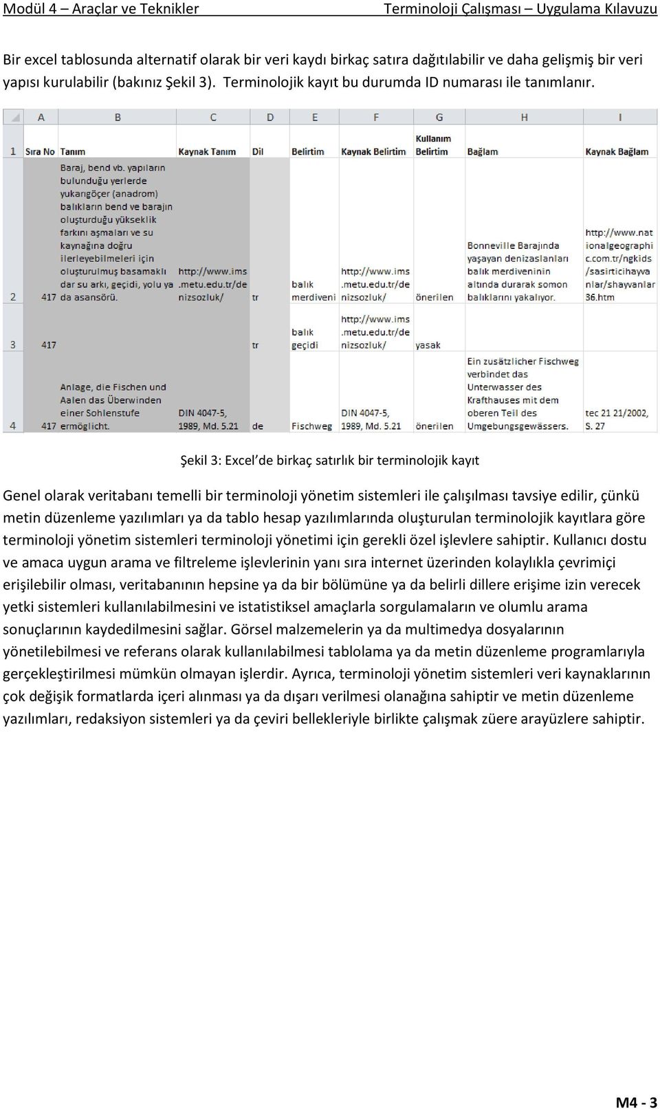 Şekil 3: Excel de birkaç satırlık bir terminolojik kayıt Genel olarak veritabanı temelli bir terminoloji yönetim sistemleri ile çalışılması tavsiye edilir, çünkü metin düzenleme yazılımları ya da