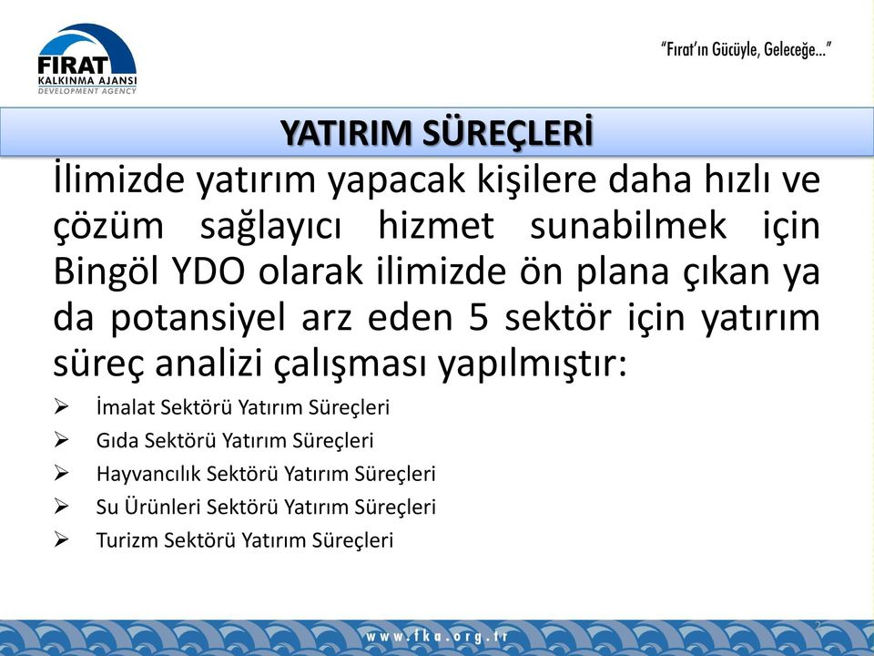 çalışması yapılmıştır: İmalat Sektörü Yatırım Süreçleri Gıda Sektörü Yatırım Süreçleri Hayvancılık