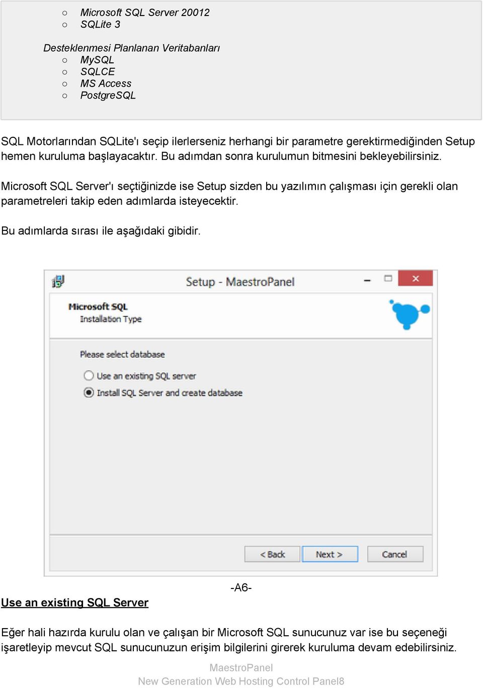 Microsoft SQL Server'ı seçtiğinizde ise Setup sizden bu yazılımın çalışması için gerekli olan parametreleri takip eden adımlarda isteyecektir.