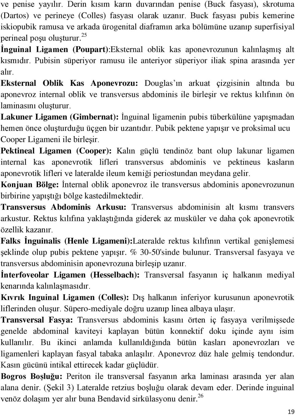 25 İnguinal Ligamen (Poupart):Eksternal oblik kas aponevrozunun kalınlaşmış alt kısmıdır. Pubisin süperiyor ramusu ile anteriyor süperiyor iliak spina arasında yer alır.