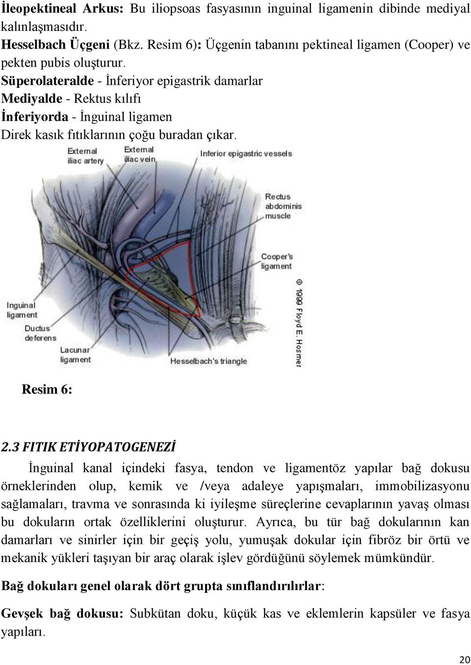 Süperolateralde - İnferiyor epigastrik damarlar Mediyalde - Rektus kılıfı İnferiyorda - İnguinal ligamen Direk kasık fıtıklarının çoğu buradan çıkar. Resim 6: 2.