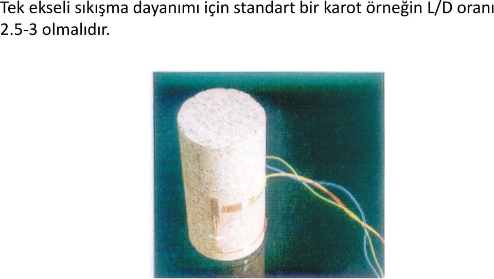 standart bir karot