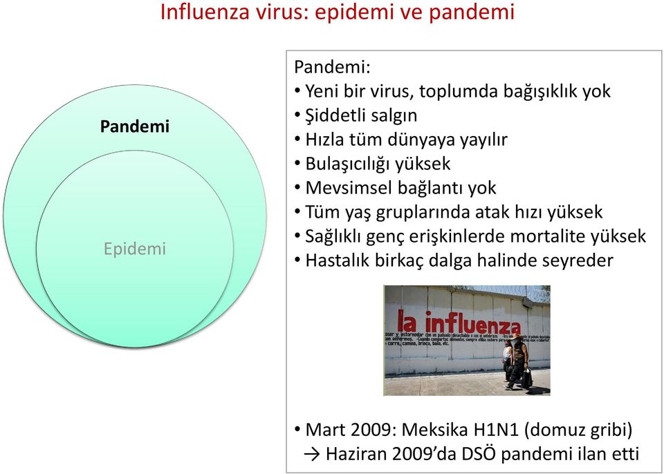 yok Tüm yaş gruplarında atak hızı yüksek Sağlıklı genç erişkinlerde mortalite yüksek Hastalık