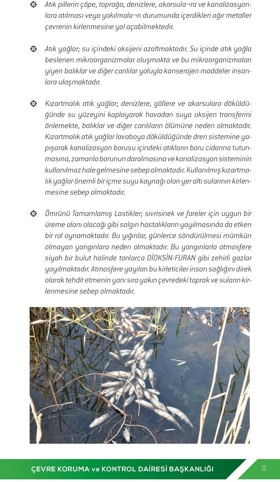 Su içinde atık yağla beslenen mikroorganizmalar oluşmakta ve bu mikroorganizmaları yiyen balıklar ve diğer canlılar yoluyla kanserojen maddeler insanlara ulaşmaktadır.