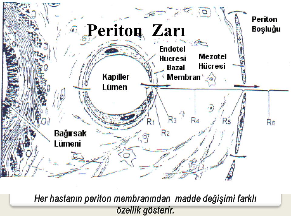 membranından madde