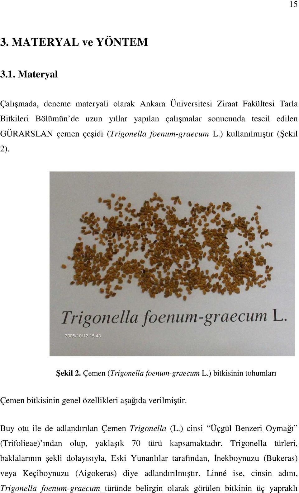 ) bitkisinin tohumları Çemen bitkisinin genel özellikleri aşağıda verilmiştir. Buy otu ile de adlandırılan Çemen Trigonella (L.
