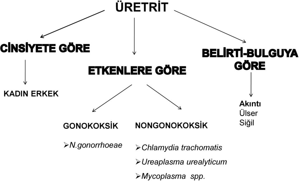 gonorrhoeae Chlamydia