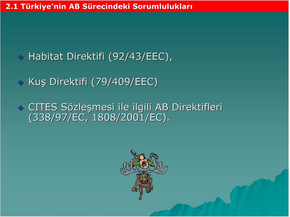 (92/43/EEC), Kuş Direktifi (79/409/EEC)