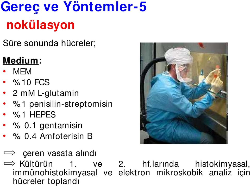 4 Amfoterisin B İçeren vasata alındı Kültürün 1. ve 2. hf.