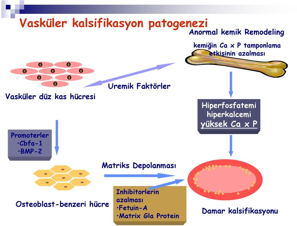 Uremik Faktörler Matriks Depolanması Hiperfosfatemi hiperkalcemi yüksek Ca x P