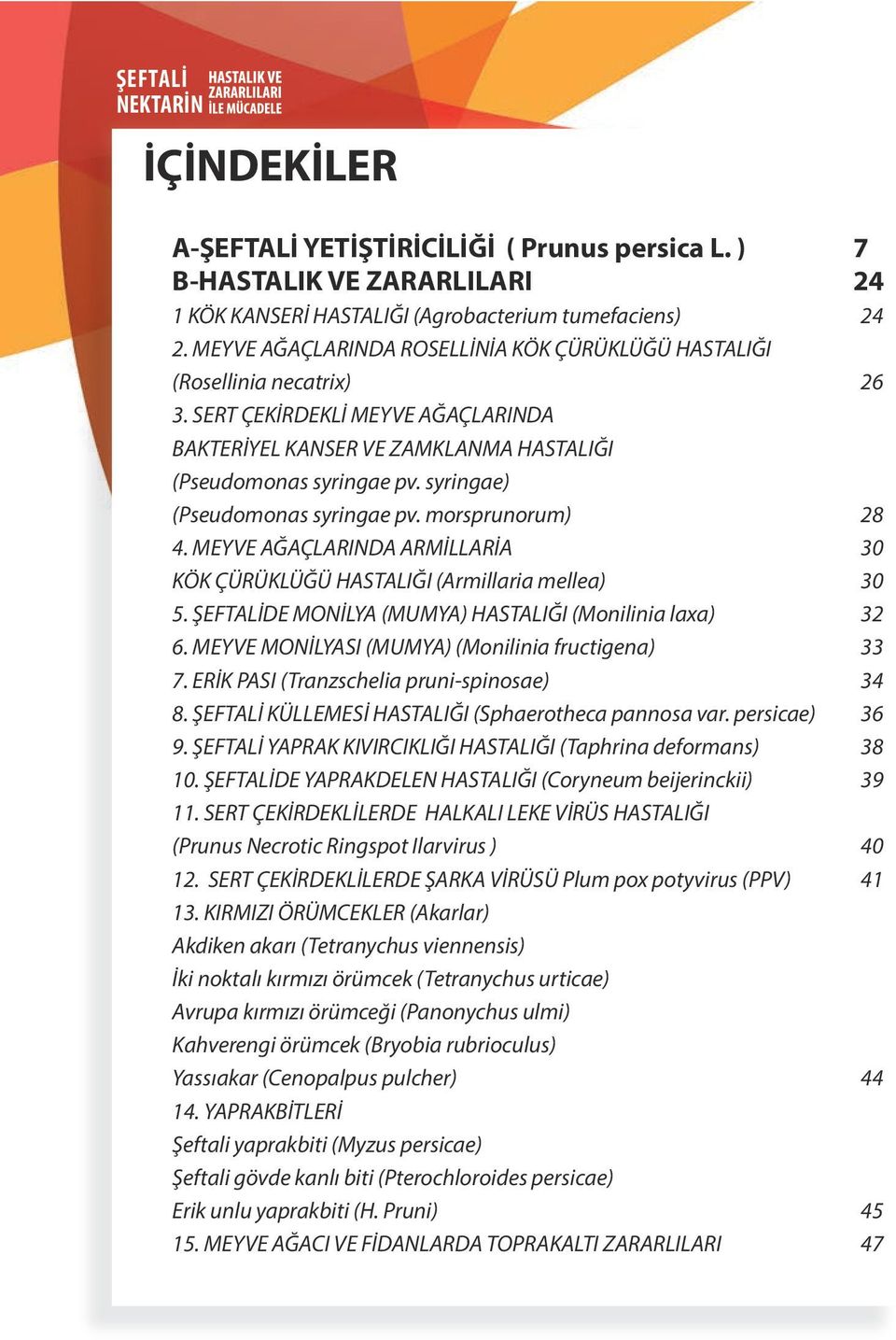 syringae) (Pseudomonas syringae pv. morsprunorum) 28 4. MEYVE AĞAÇLARINDA ARMİLLARİA 30 KÖK ÇÜRÜKLÜĞÜ HASTALIĞI (Armillaria mellea) 30 5. ŞEFTALİDE MONİLYA (MUMYA) HASTALIĞI (Monilinia laxa) 32 6.