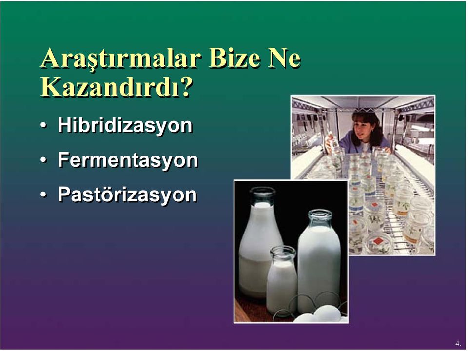 Hibridizasyon