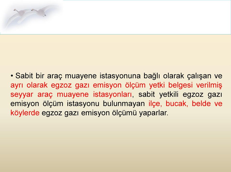 muayene istasyonları, sabit yetkili egzoz gazı emisyon ölçüm