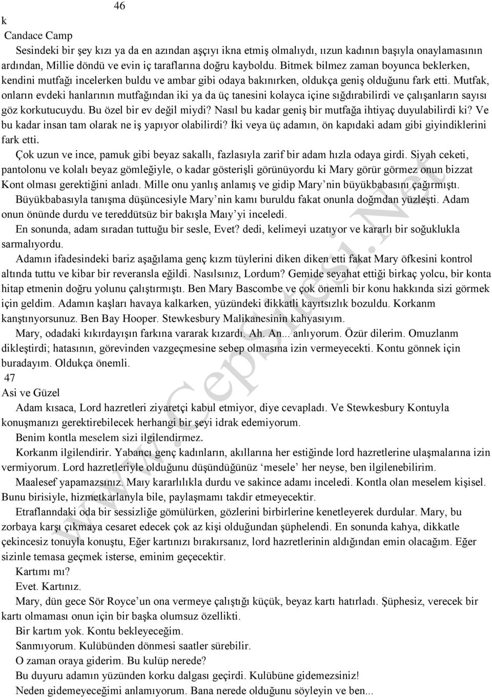 Mutfak, onların evdeki hanlarının mutfağından iki ya da üç tanesini kolayca içine sığdırabilirdi ve çalışanların sayısı göz korkutucuydu. Bu özel bir ev değil miydi?