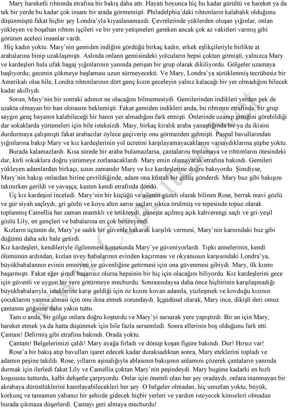 Çevrelerinde yüklerden oluşan yığınlar, onlan yükleyen ve boşaltan rıhtım işçileri ve bir yere yetişmeleri gereken ancak çok az vakitleri varmış gibi görünen aceleci insanlar vardı. Hiç kadın yoktu.