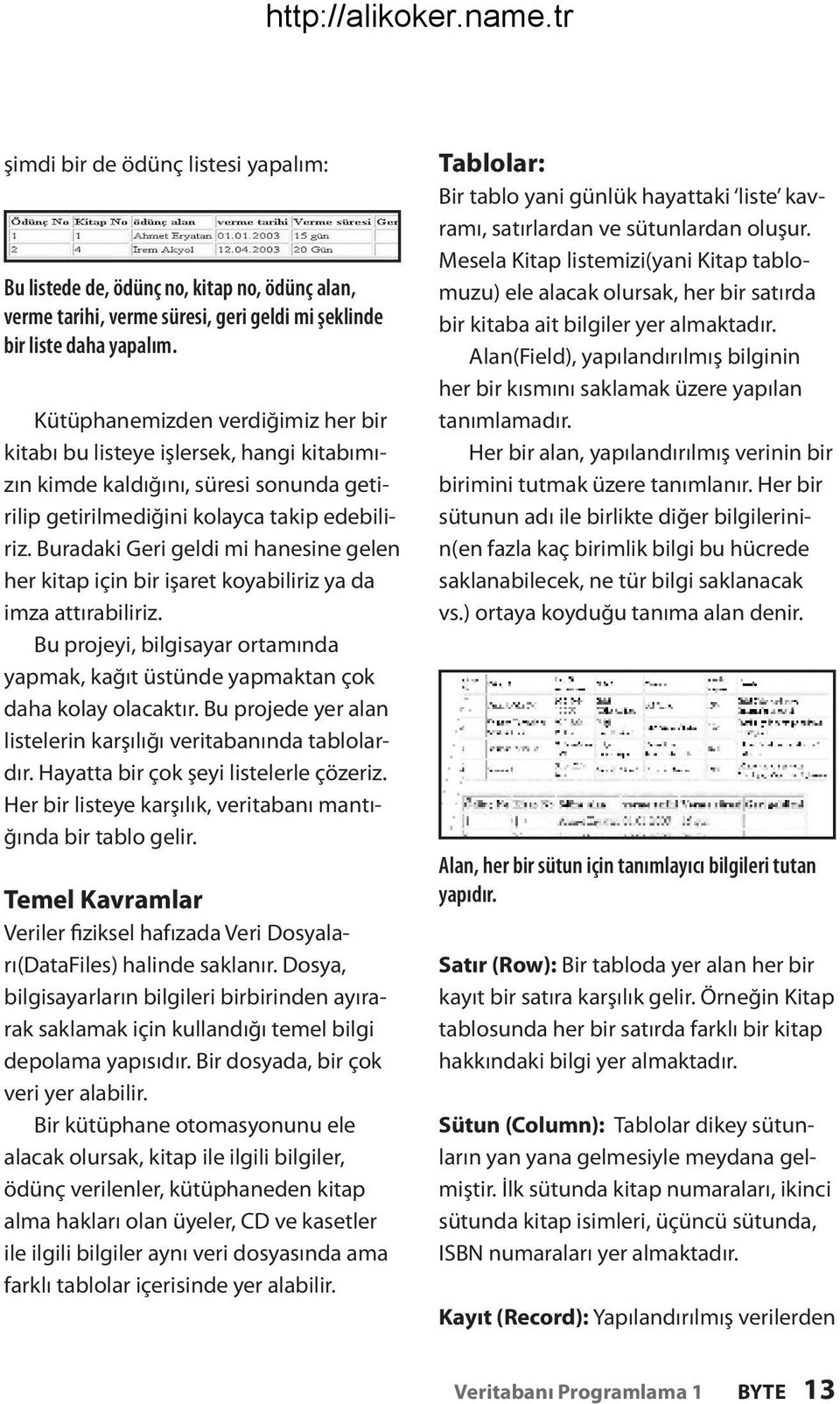 Buradaki Geri geldi mi hanesine gelen her kitap için bir işaret koyabiliriz ya da imza attırabiliriz. Bu projeyi, bilgisayar ortamında yapmak, kağıt üstünde yapmaktan çok daha kolay olacaktır.