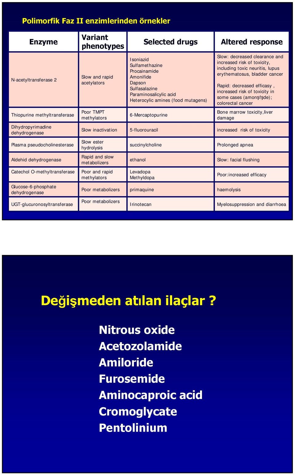 Procainamide Amonifide Dapson Sulfasalazine Paraminosalicylic acid Heterocylic amines (food mutagens) 6-Mercaptopurine Altered response Slow: decreased clearance and increased risk of toxicity,