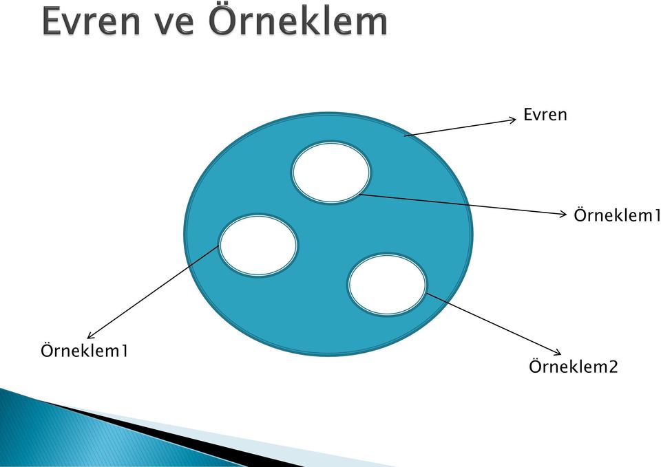 Örneklem2