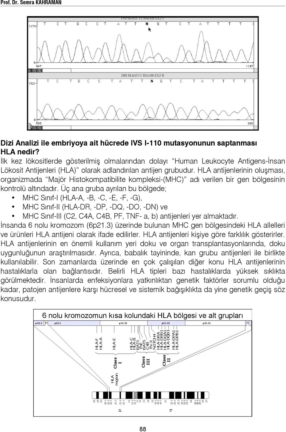 HLA antijenlerinin oluşması, organizmada Majör Histokompatibilite kompleksi-(mhc) adı verilen bir gen bölgesinin kontrolü altındadır.