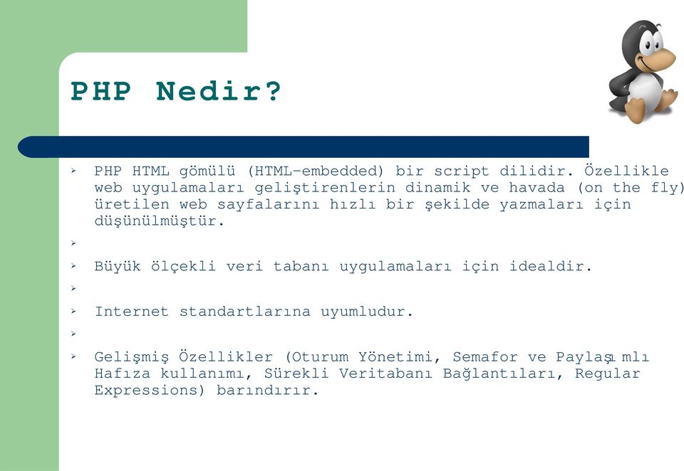 şekilde yazmalar ı için düşünülmüştür. Büyük ölçekli veri taban ı uygulamalar ı için idealdir.