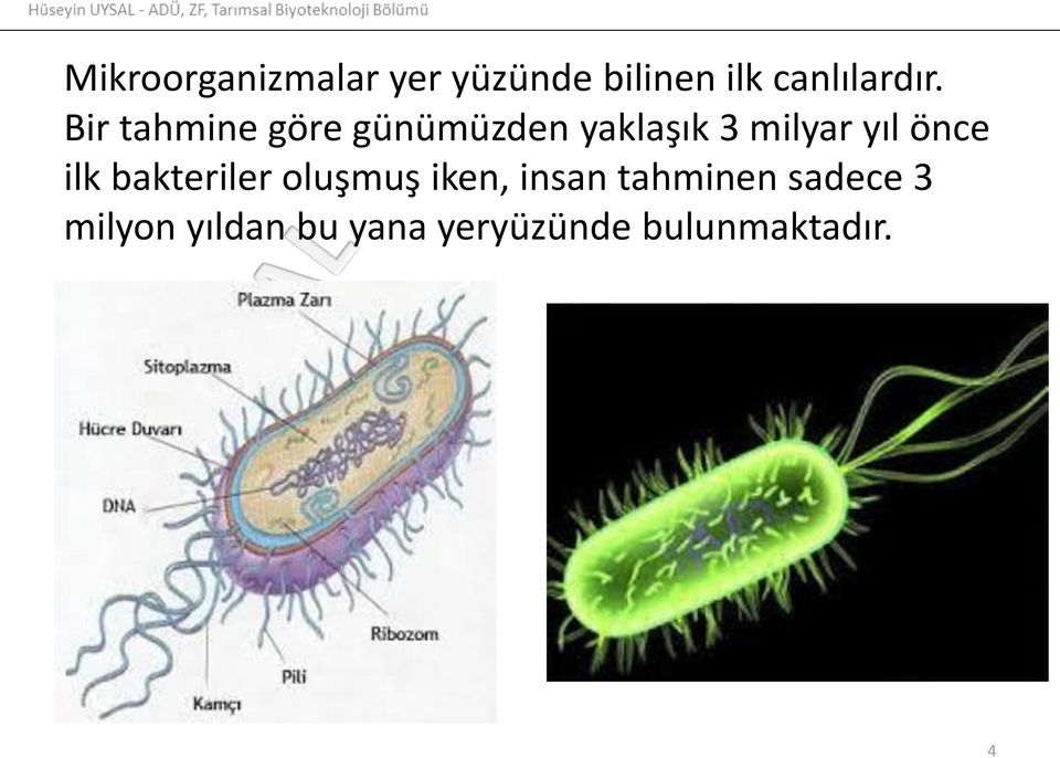 Bir tahmine göre günümüzden yaklaşık 3 milyar yıl