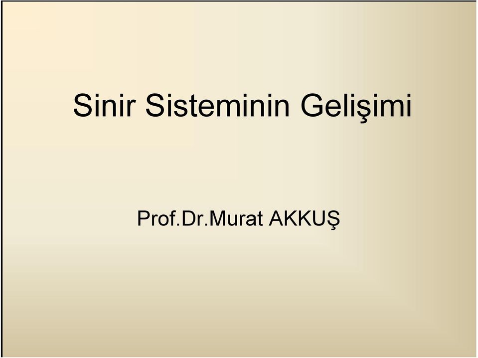 Gelişimi