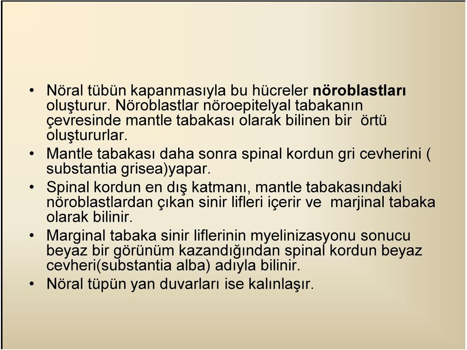 Mantle tabakası daha sonra spinal kordun gri cevherini ( substantia grisea)yapar.