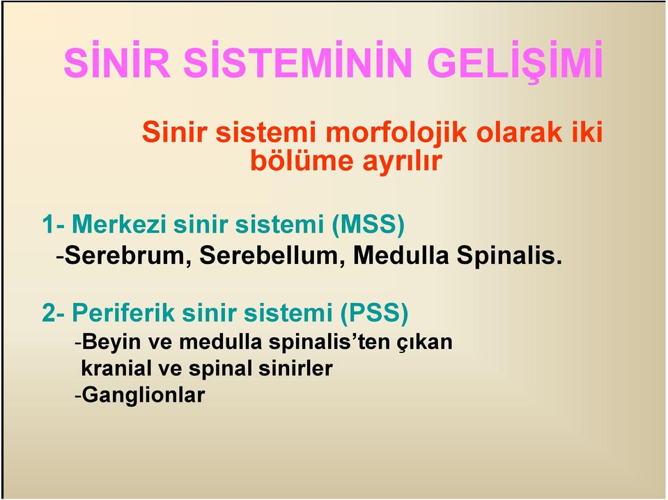 Serebellum, Medulla Spinalis.