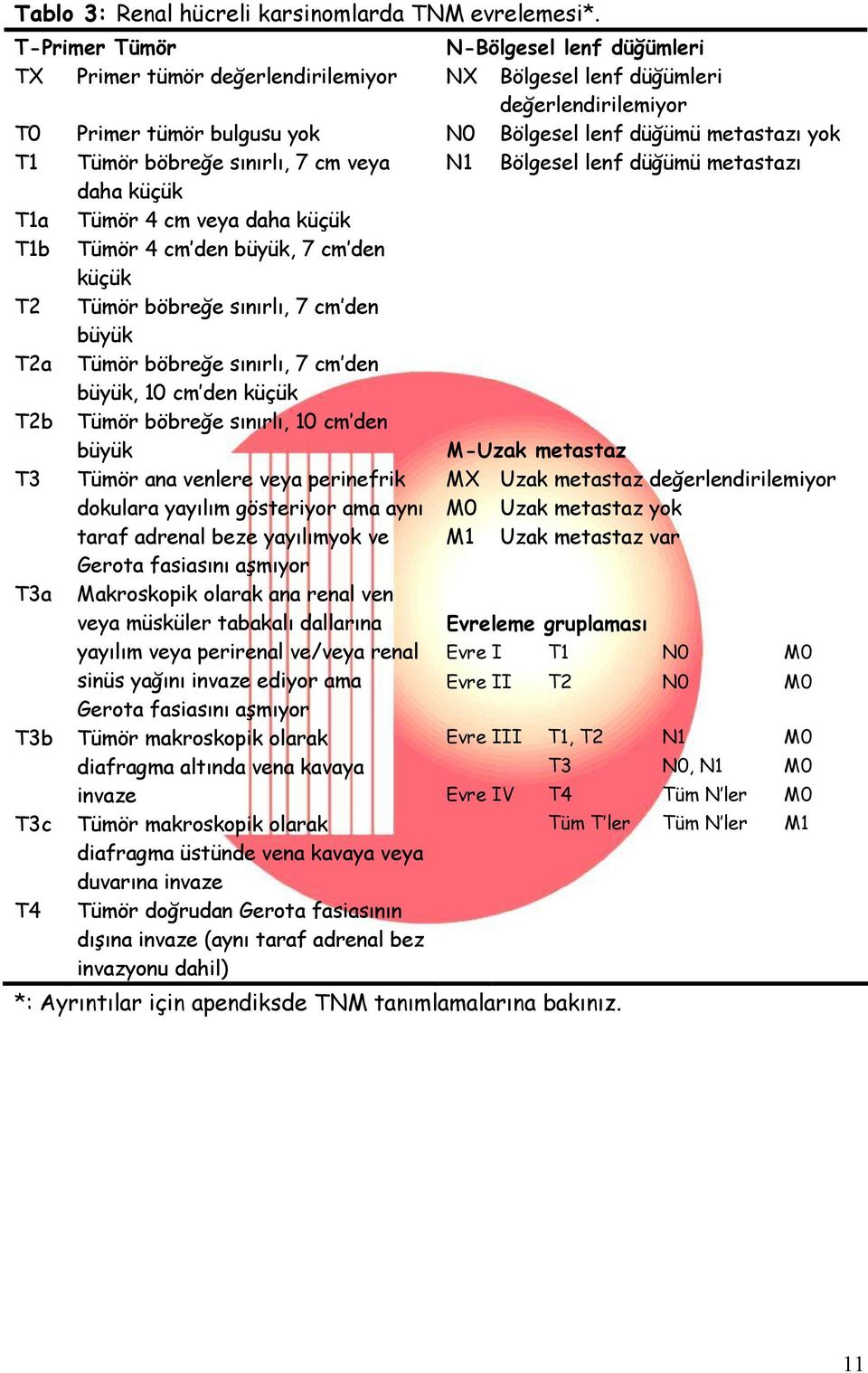 böbreğe sınırlı, 7 cm veya N1 Bölgesel lenf düğümü metastazı daha küçük T1a Tümör 4 cm veya daha küçük T1b Tümör 4 cm den büyük, 7 cm den küçük T2 Tümör böbreğe sınırlı, 7 cm den büyük T2a Tümör